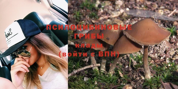 ГАЛЛЮЦИНОГЕННЫЕ ГРИБЫ Алзамай